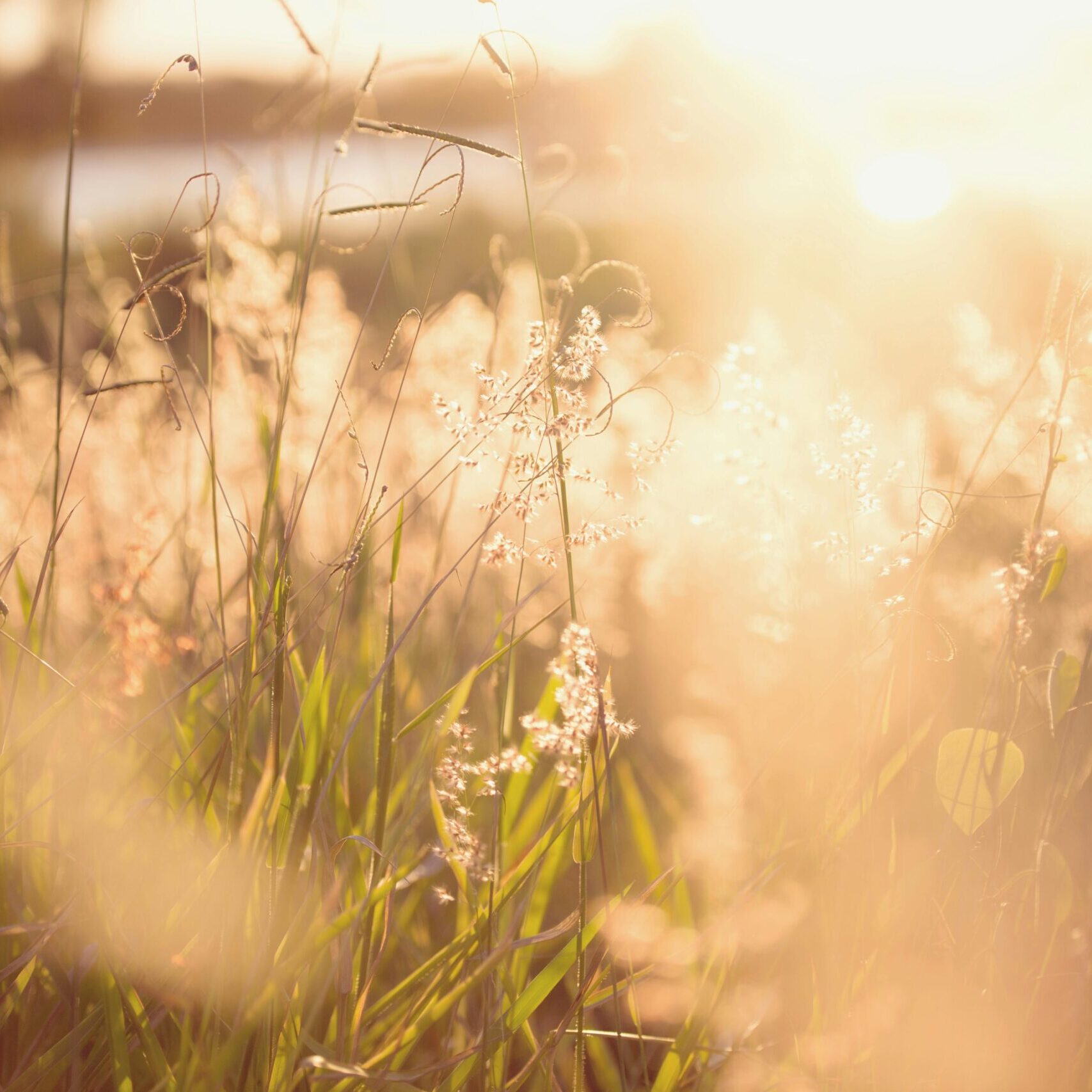 Holotrop immersive Breathwork